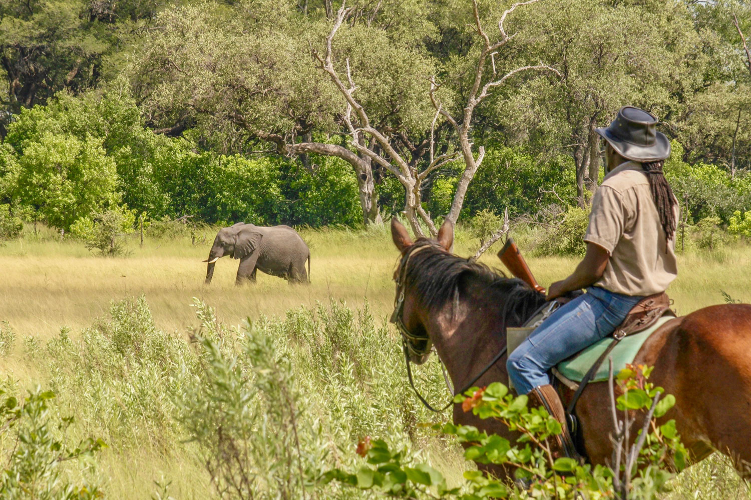 Safari a Caballo en el Delta del Okavango