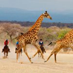 Safaris a Caballo en África