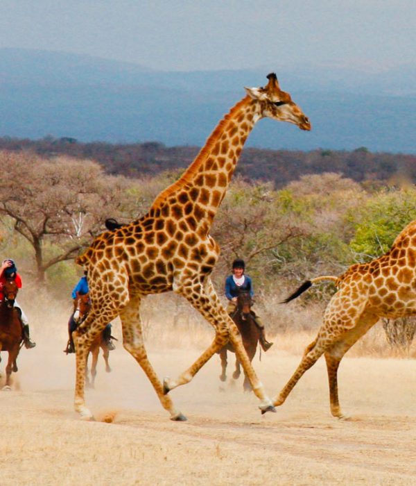 Safaris a Caballo en África