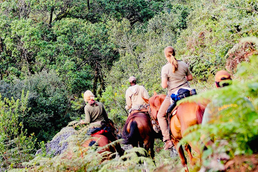 Safari a caballo en Kilimanjaro
