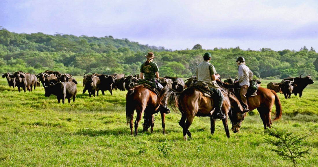 Safari a caballo en Kilimanjaro