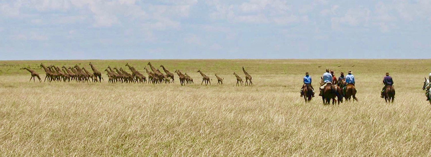 Safari a Caballo en Masai Mara