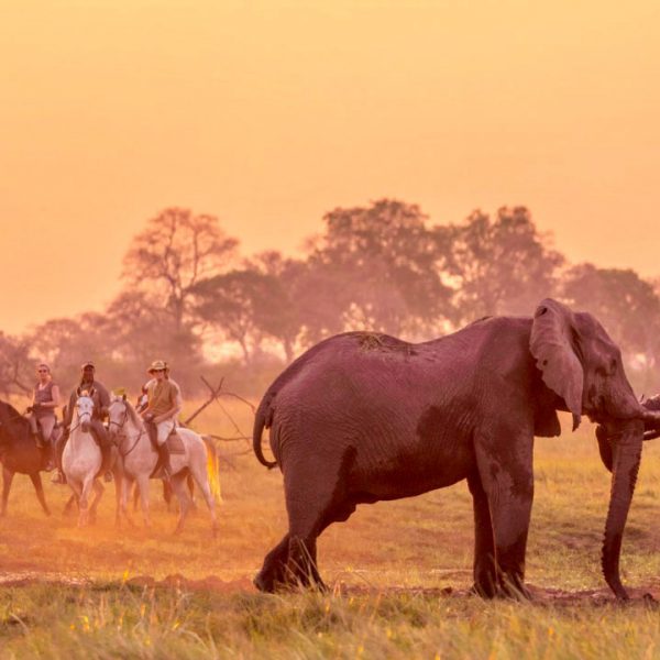 Safaris a Caballo en África