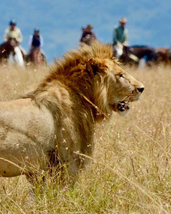 Safaris a caballo en Kenia