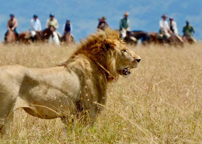 Safaris a caballo en Kenia