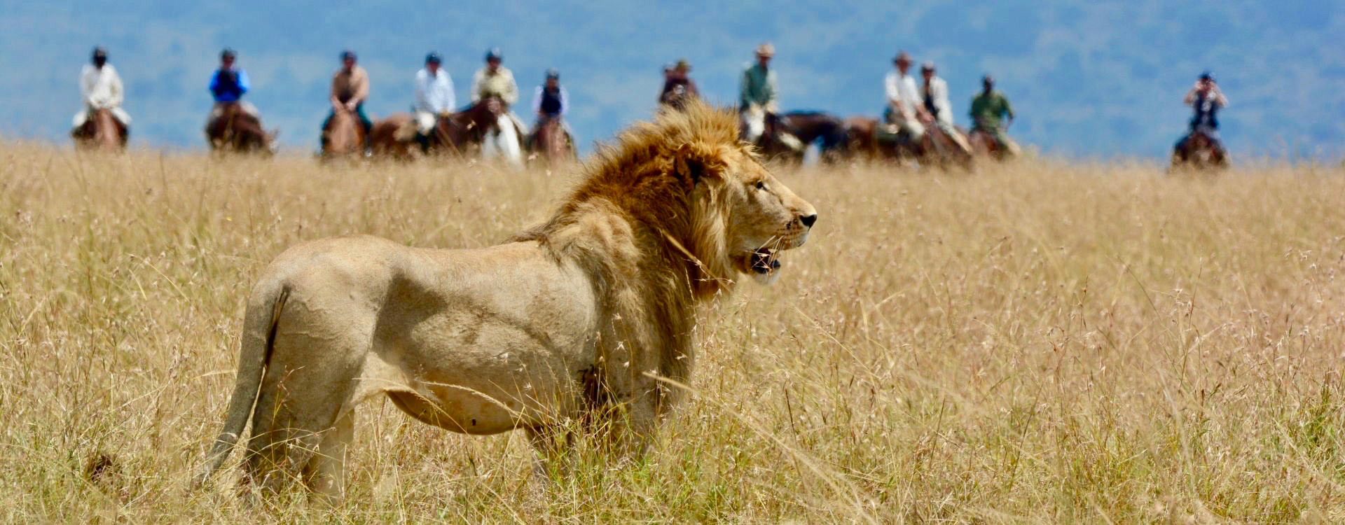 los mejores safaris a caballo de áfrica