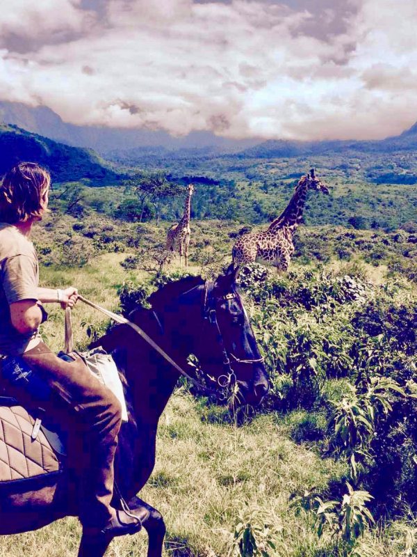 Safaris a Caballo en África, Safari a caballo en Kilimanjaro