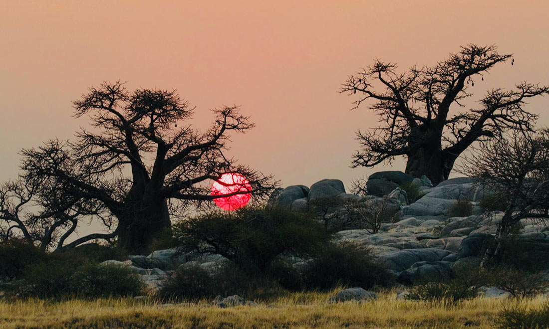 Safari Rutas a Caballo en El Kalahari