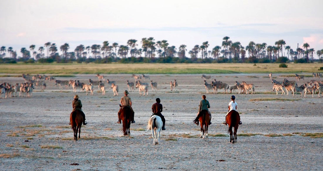 Safari a caballo en Botswana: Okavango & Kalahari