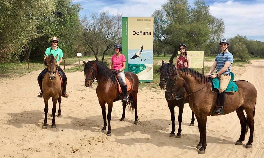 . Safaria a caballo en Doñana