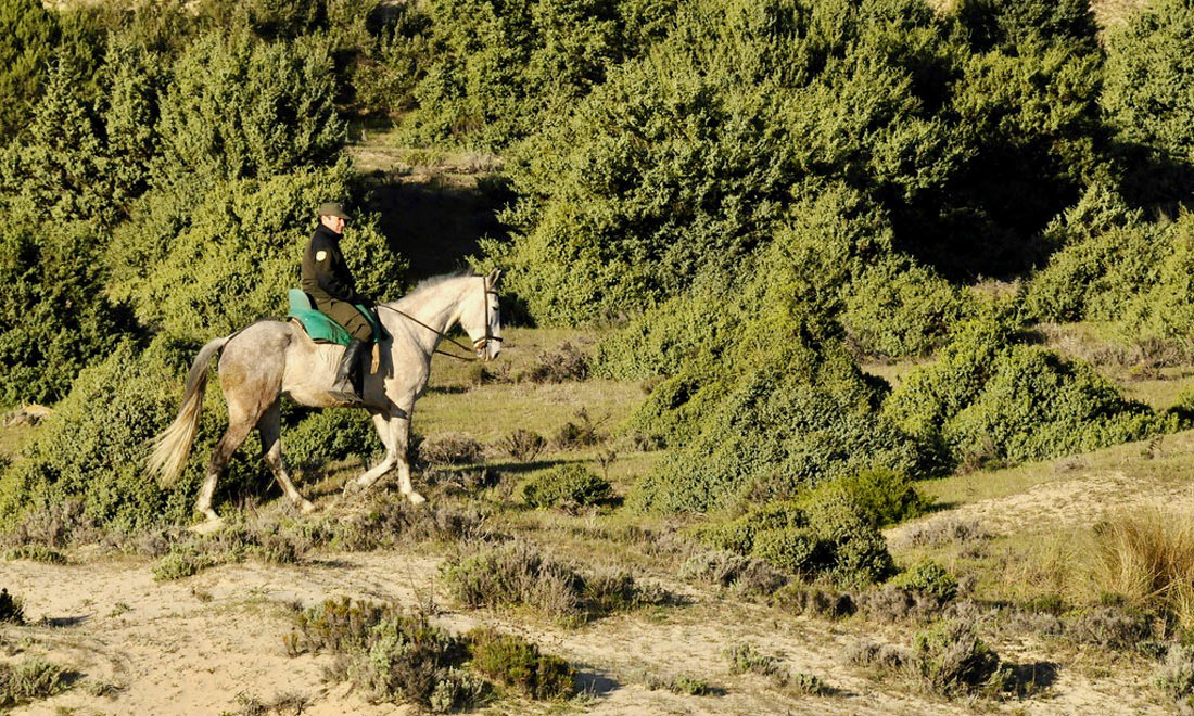 Ruta a Caballo en Andalucía