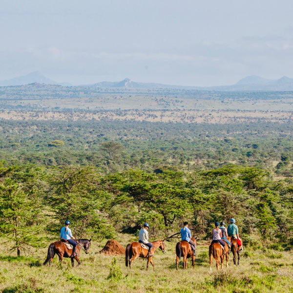Safaris a caballo españa