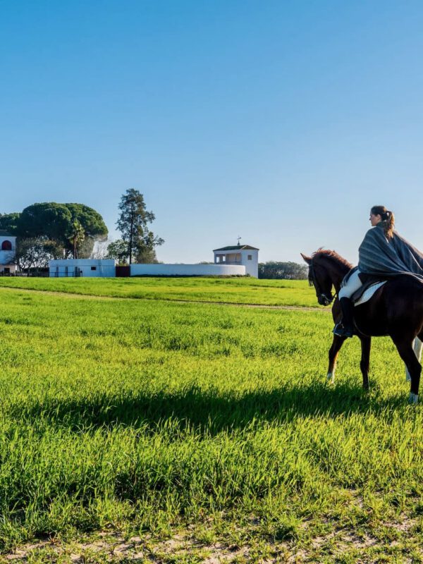 Doñana a caballo