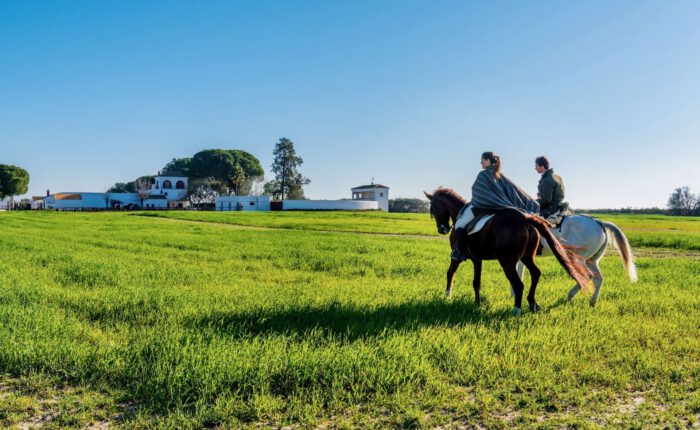 Doñana a caballo