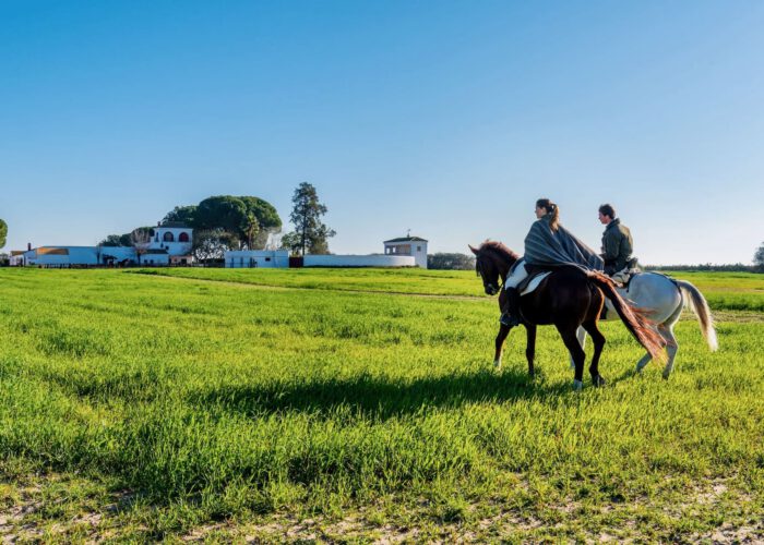Doñana a caballo