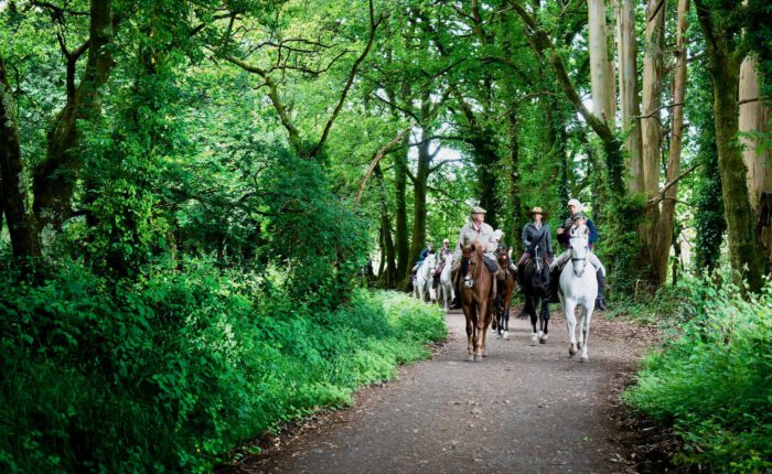 Camino de Santiago a Caballo
