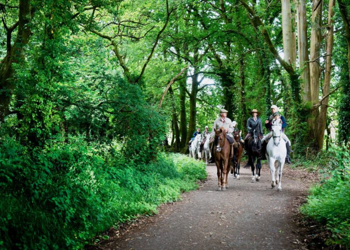 Camino de Santiago a Caballo
