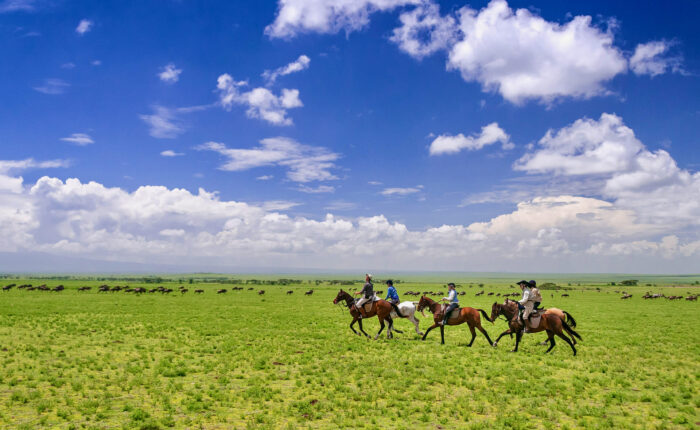 principal Safari a caballo en el Serengeti